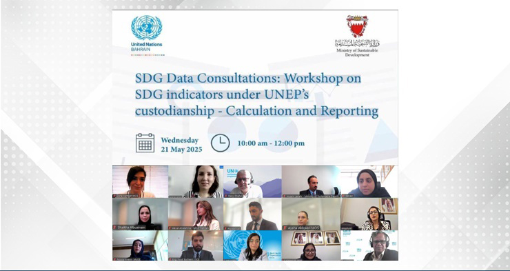 Sustainable Development Ministry holds workshop on SDG indicators